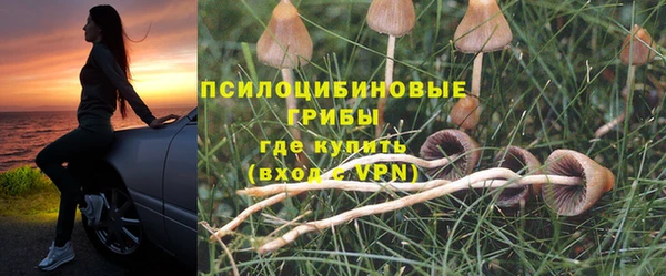соль ск Балабаново