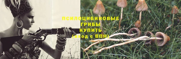 соль ск Балабаново